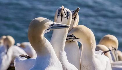 2026年最新杭州高端商务伴游招聘网渠道分享(最方便真实的茉莉伴游伴游天下全国联盟方法)